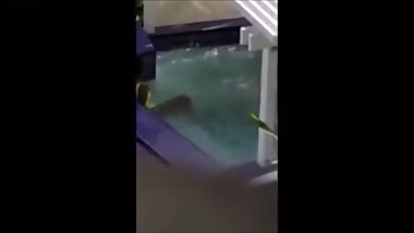 Ethiopian couples in Bole area_African_Habesha_Pussy