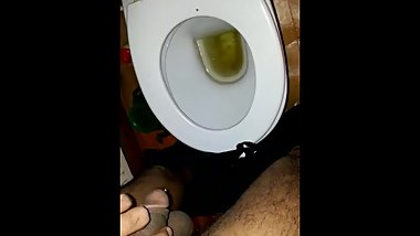 Indian bear pissing